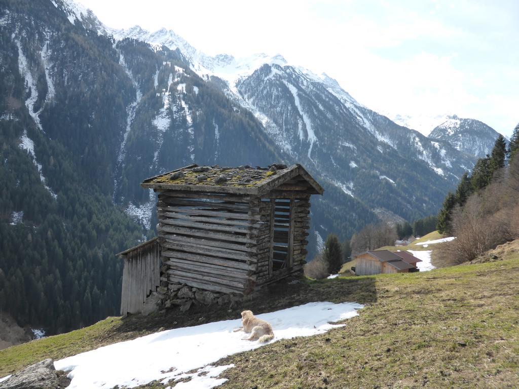 Pension Steinadler Acomodação com café da manhã Neustift im Stubaital Exterior foto