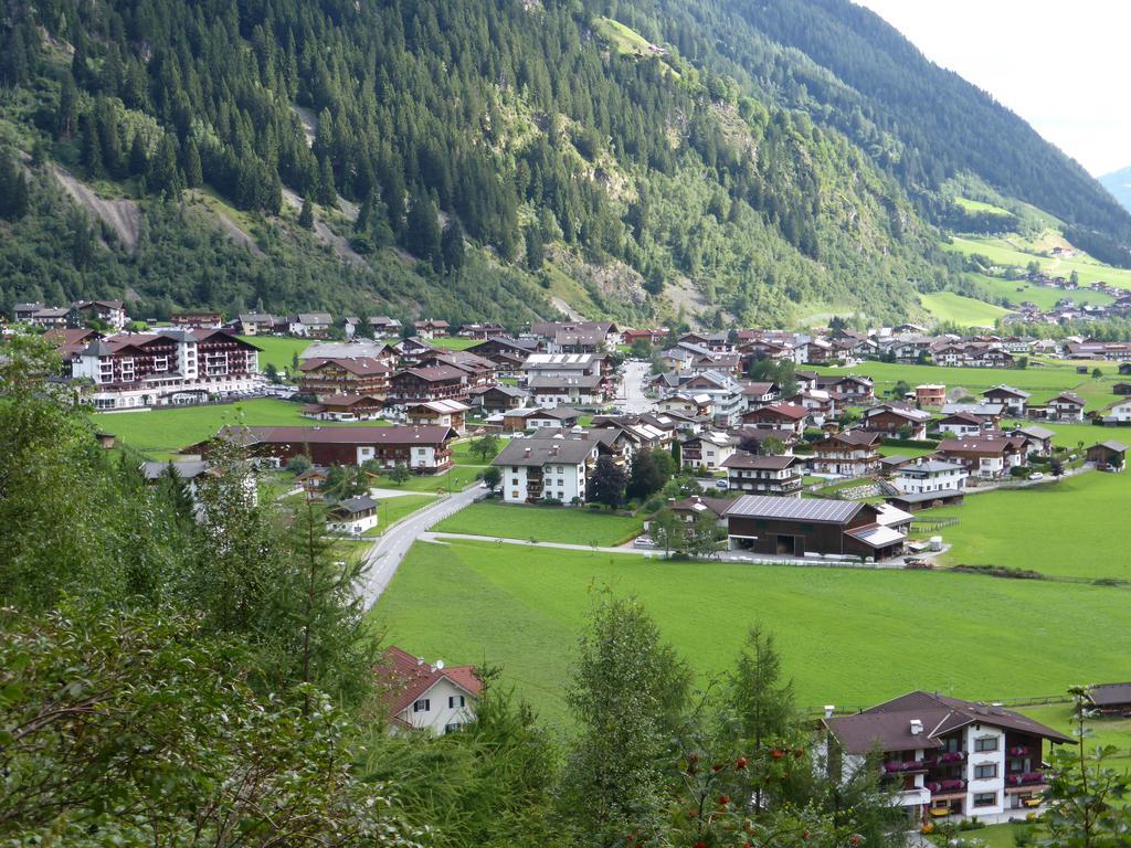 Pension Steinadler Acomodação com café da manhã Neustift im Stubaital Exterior foto